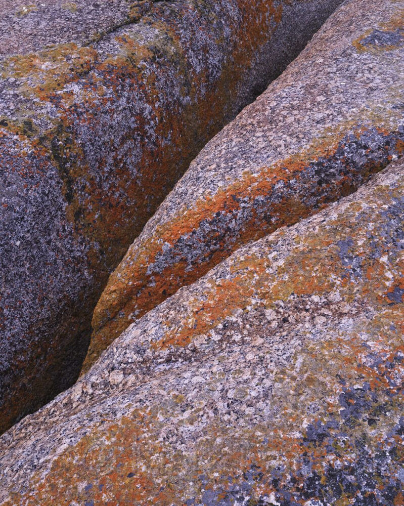 Granite and Lichens