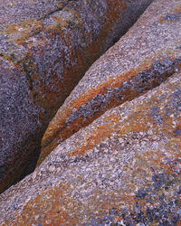 Granite and Lichens