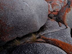 Granite coasline