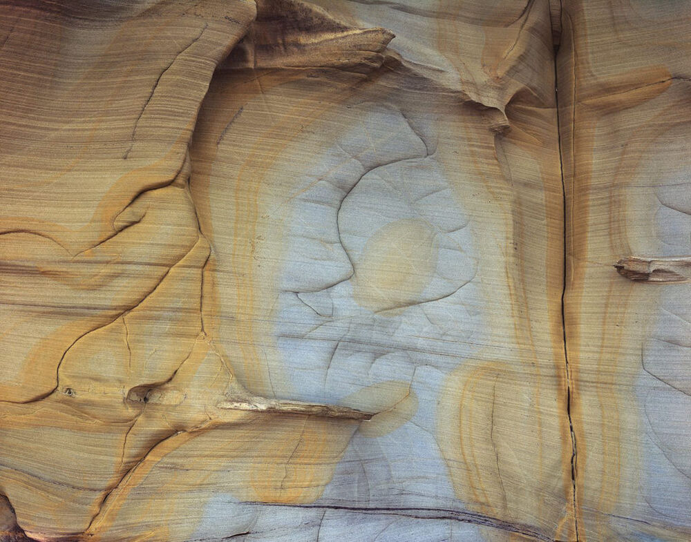 Coastal Geology