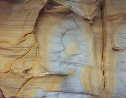 Coastal Geology