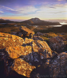 King William Range