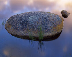 Granite boulder, Tidal River