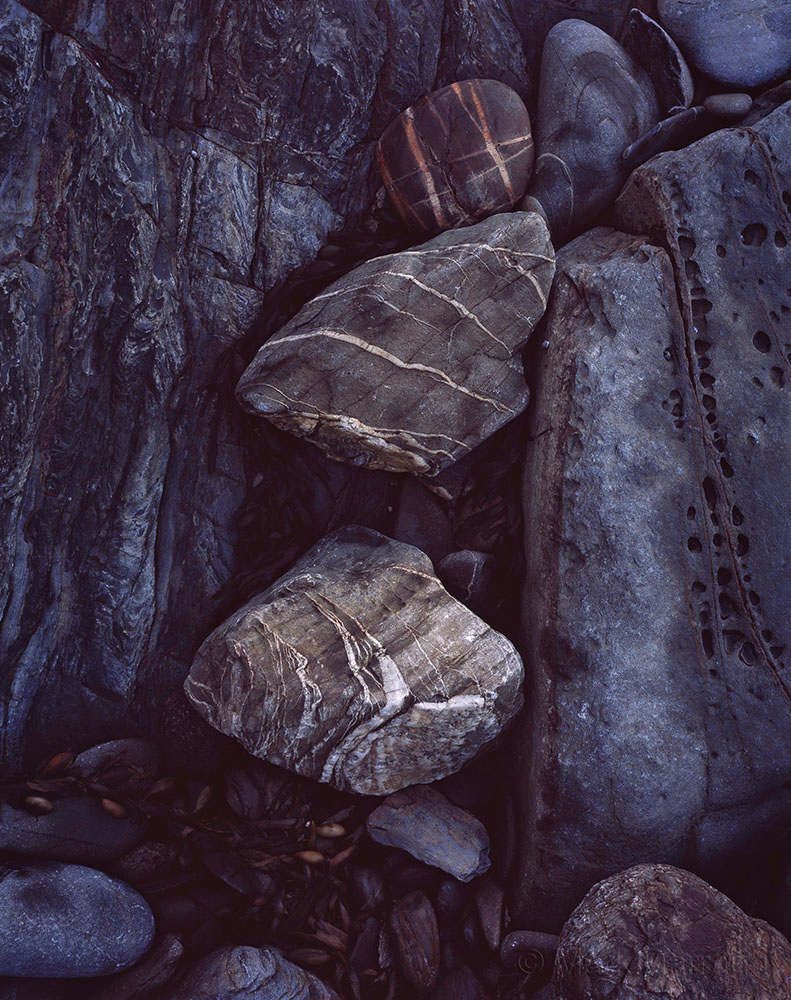 Detail, Sandpatch Point
