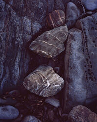 Detail, Sandpatch Point