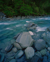 Beech Forest, Wilkin River