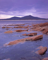 Howe Range, Gabo Island