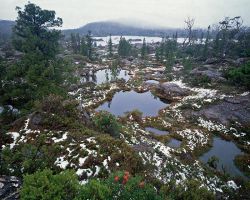 Tarn shelf, Lake Elysia