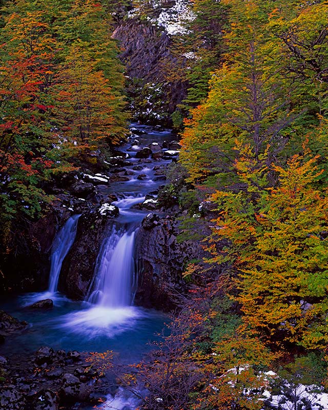 Lenga, Rio Olguin