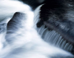 Linville River detail