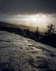Morning squall, Pisgah Forest