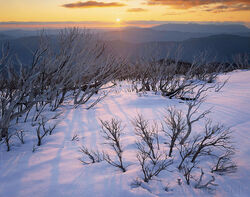 Sunset, Little Feathertop