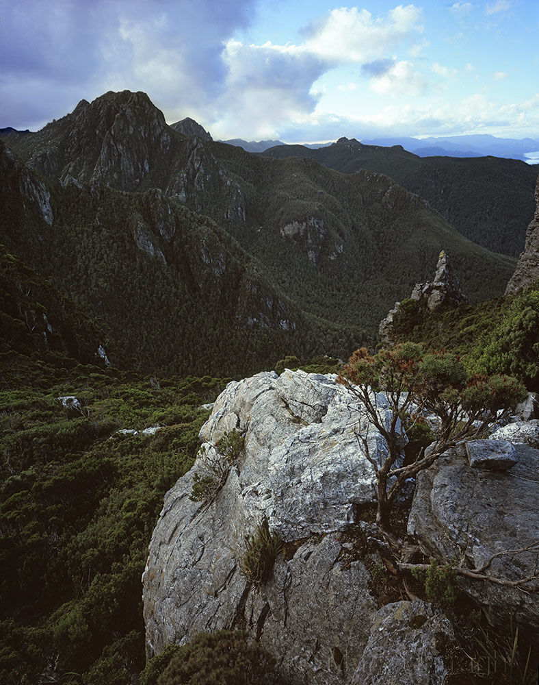Evening light, Frankland Range