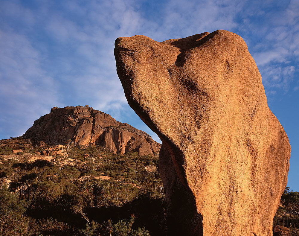 "Dog Rock"