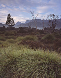 Cradle Mountain - Lake St Clair, Tasmania