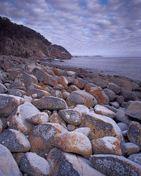 Lichen covered boulders, Bluestone Bay