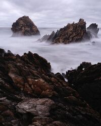 Tarkine Coast