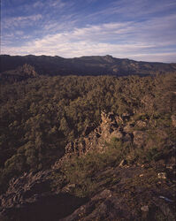 Morning cloud over Victoria Range