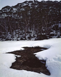 Spring Thaw