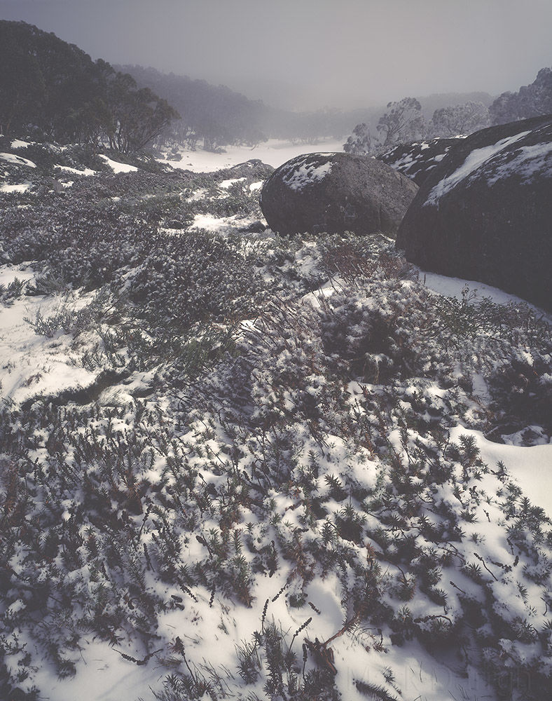 Clearing blizzard, Baw Baw