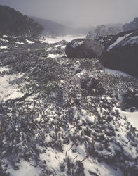 Clearing blizzard, Baw Baw