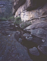 Sandstone Gorge