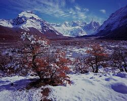 Valley of the Rio Fitzroy with Cerro Solo and Cerro Torre in the background