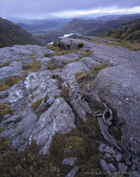 Storm, West Coast Range