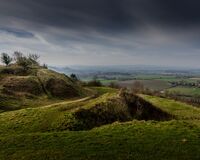Ham Hill Spring