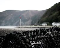 Lobster pot detail