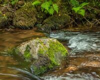 Meandering II