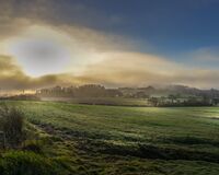 Misty 2