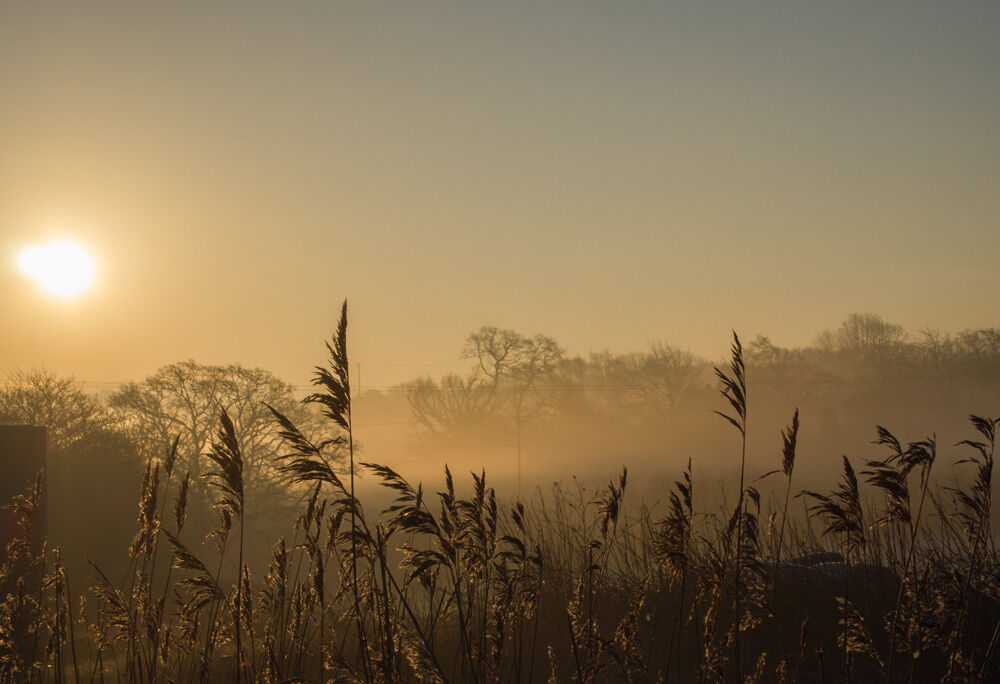 Misty morning3