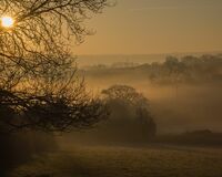 Misty morning