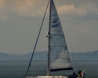 Ocean Hound (1 of 1)