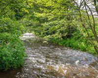 Rapids