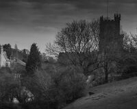 St Bartholemews through the trees (1 of 1)