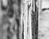 Weathered-3