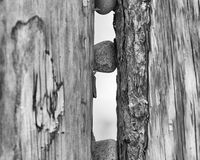 Wedged