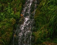 Yeovil CP falls (1 of 1)