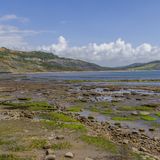 Jurassic low-tide