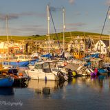 Masts at sunset