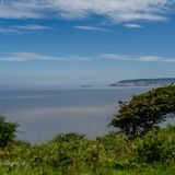 Towards Weston SM