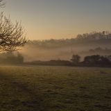 Misty 2