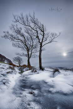 Winters day, Ayrshire, Scotland