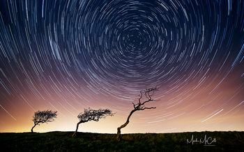 Tree Startrail, Ayrshire, Scotland