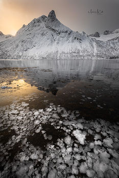 Winter sunrise, Senja, Arctic Norway