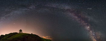 Milky way and tree, Cornwall