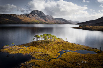 The island, Loch Maree, Wester Ross