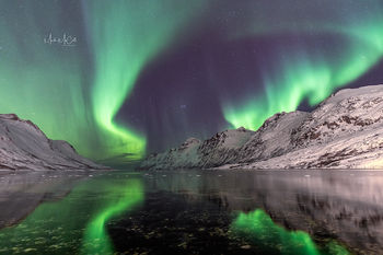 Ersfjordbotn Aurora, Tromso, Arctic Norway
